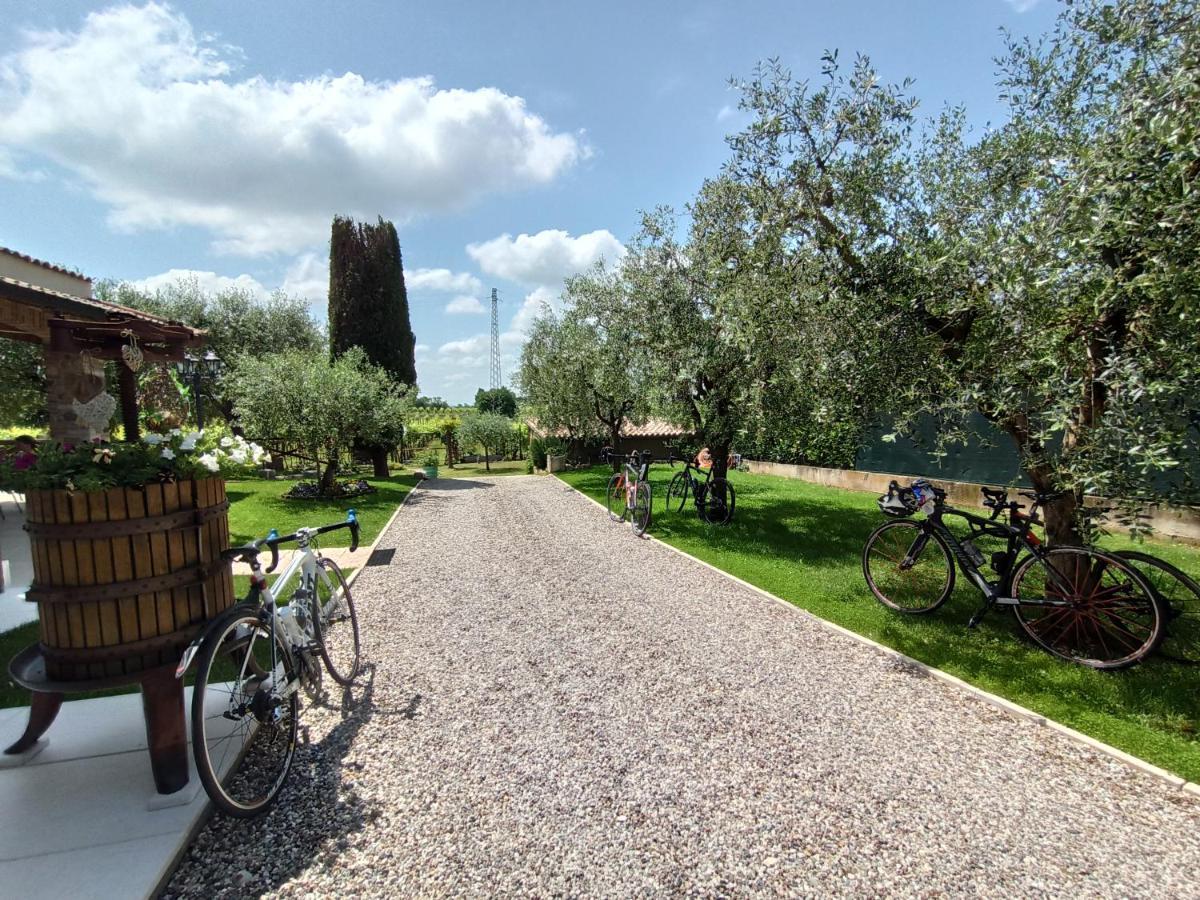 Le Zampolle Bed & Breakfast