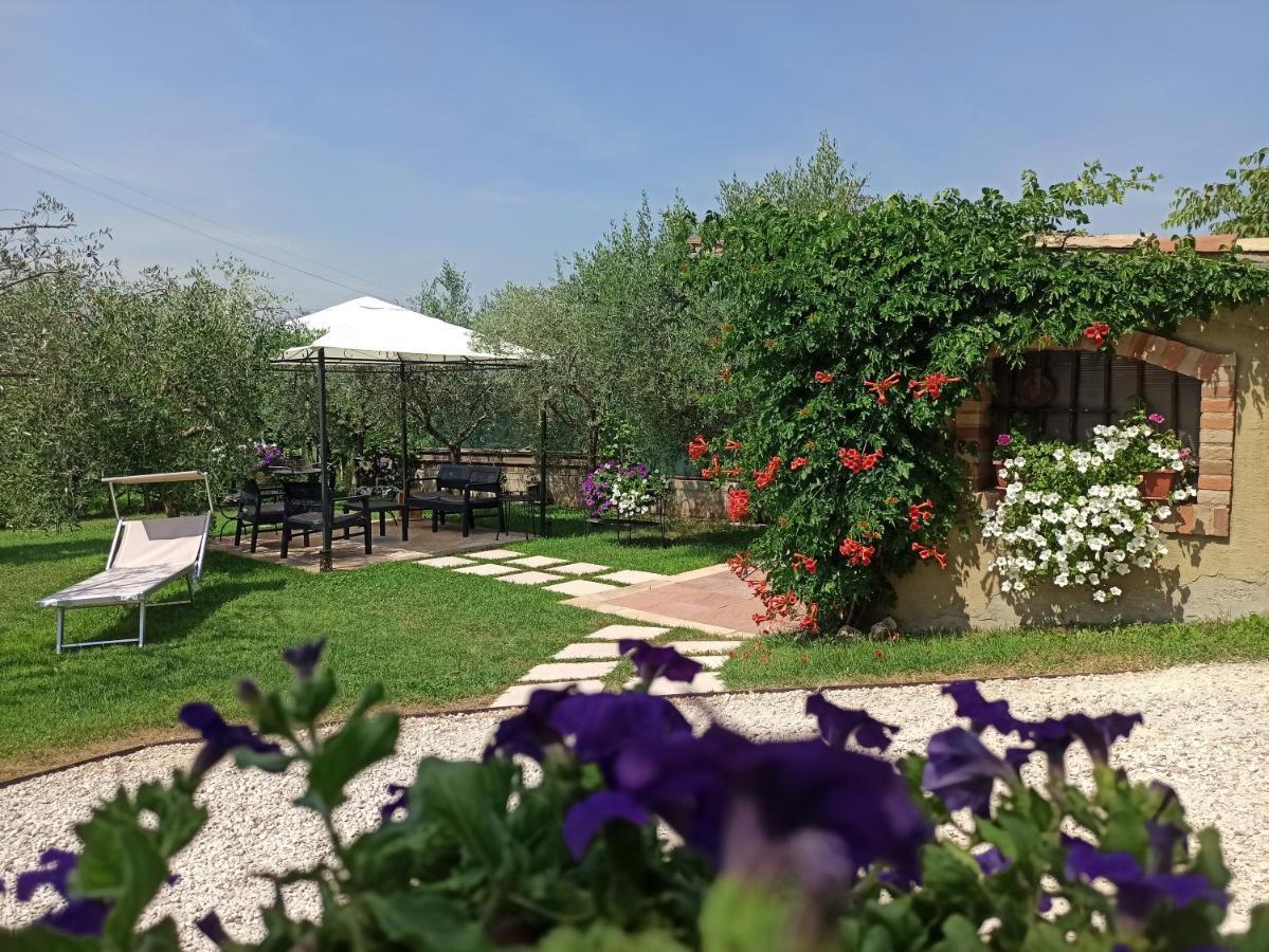 Bed & Breakfast Le Zampolle